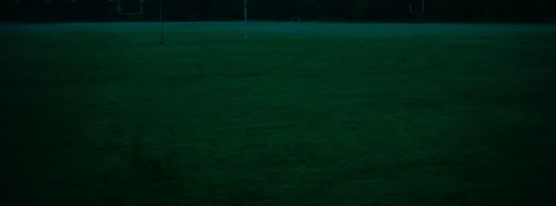 fields, 2005
