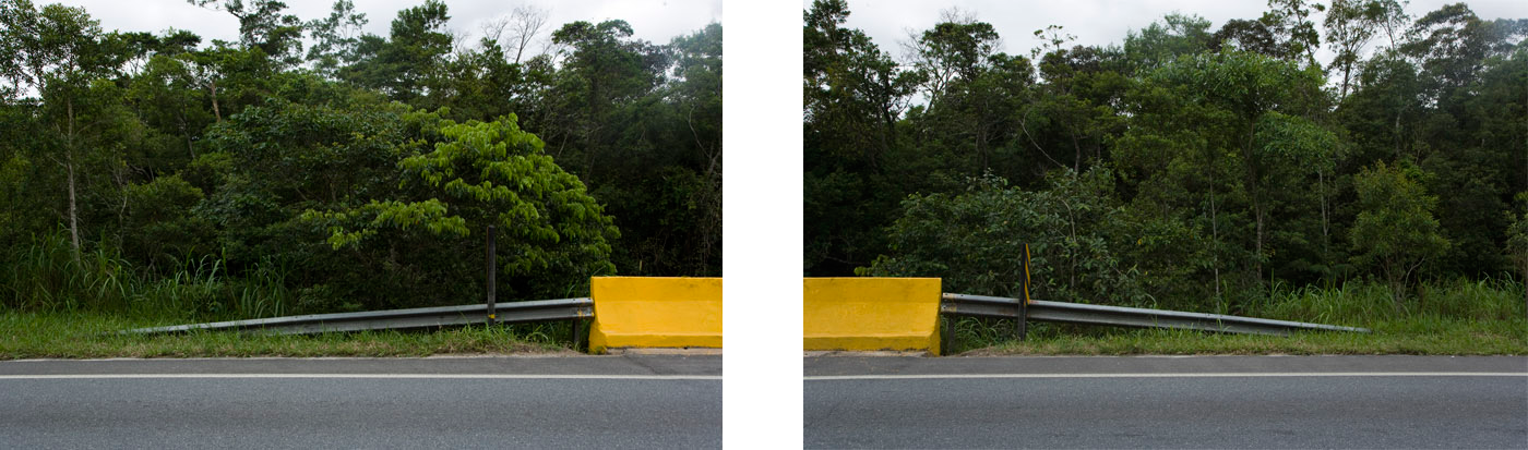 2010 a ponte