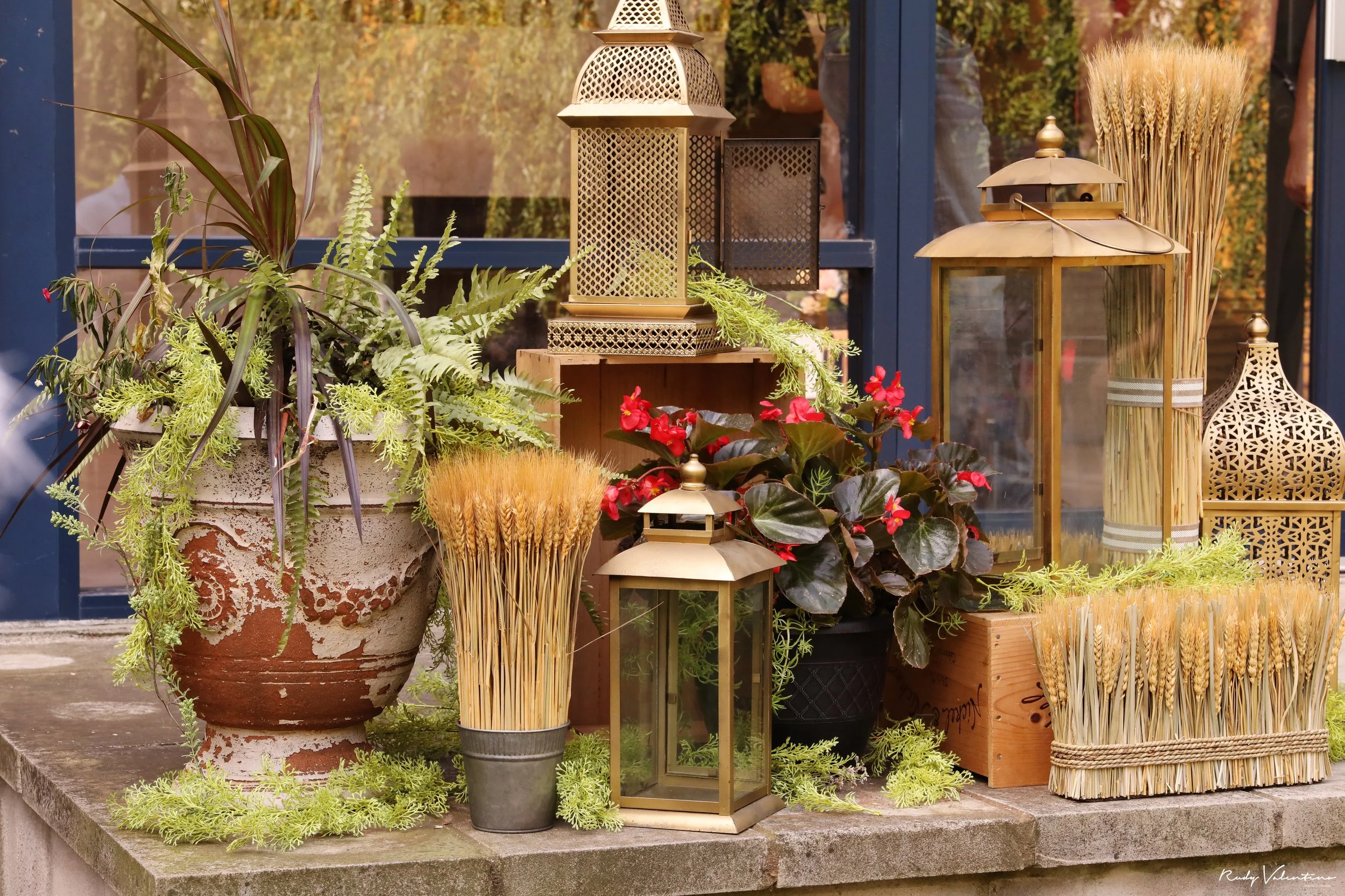A display of outdoor garden decor including large potted plants, decorative lanterns, and wheat stalk arrangements, set against a background of a blue-framed glass door and autumn foliage.