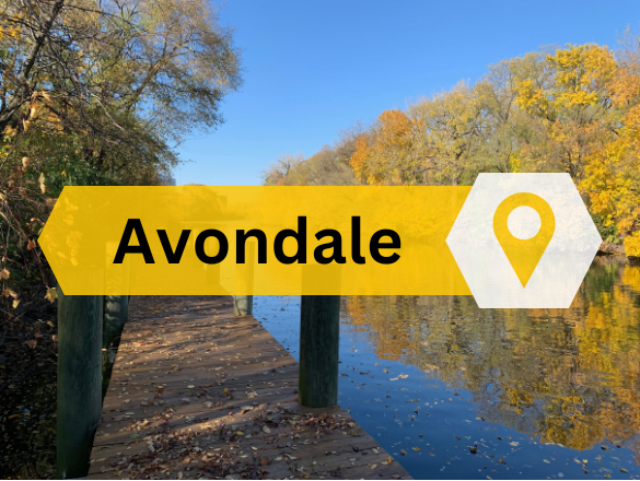 Avondale Chicago Real Estate Agent