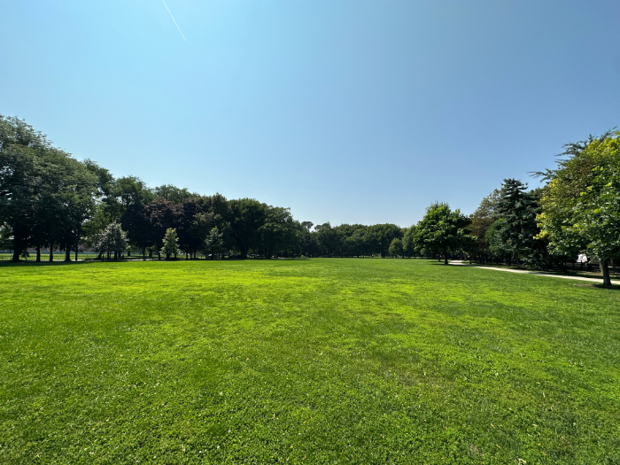 Arrigo Park University Village