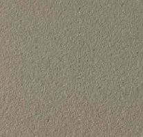 Design Select - Fossil