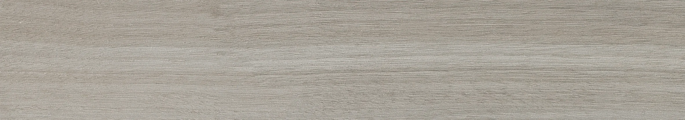 Forest - Grey