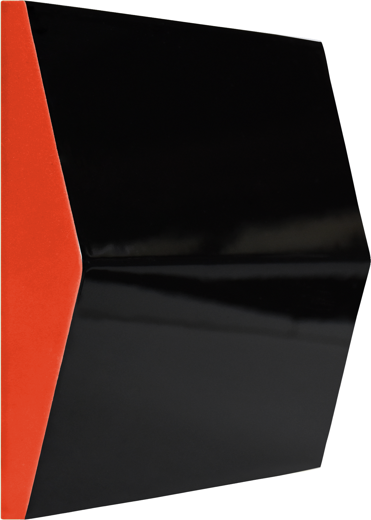 Black-Coral