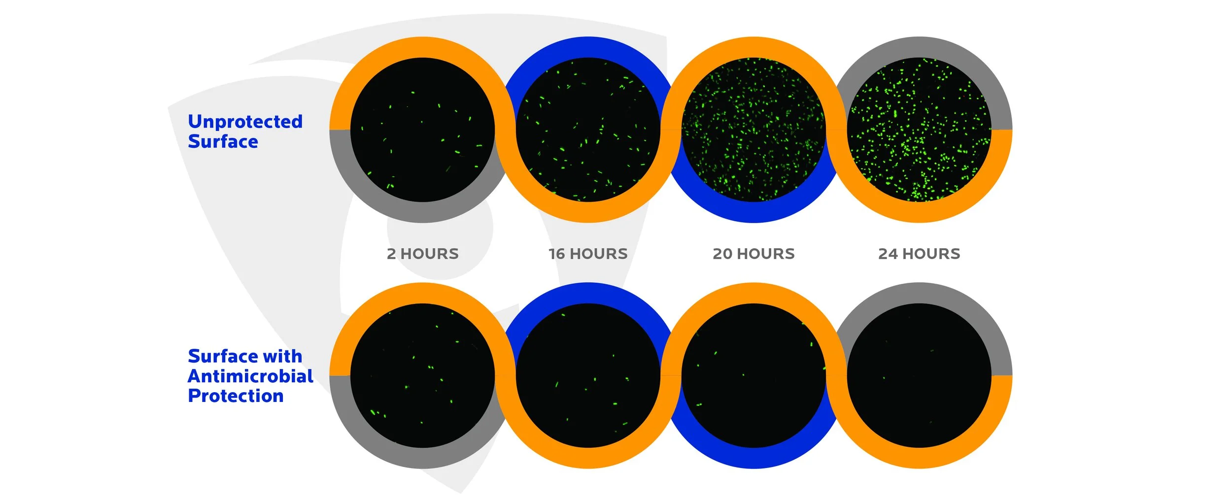 MICROBAN® COLLECTION — Karen Pearse Global Direct