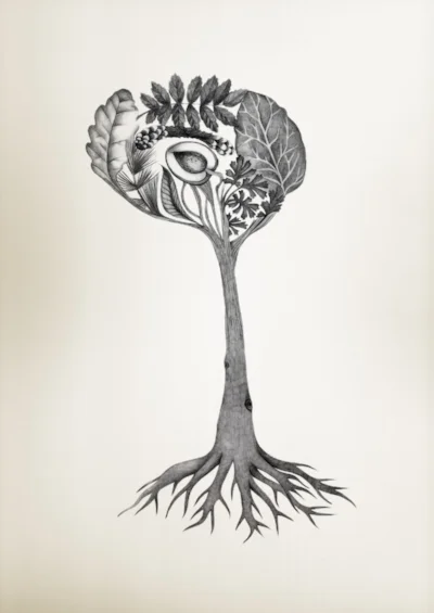 Art by Silje Soeviknes, Erlend Hodneland, Judith Haasz (Brain Art competition)