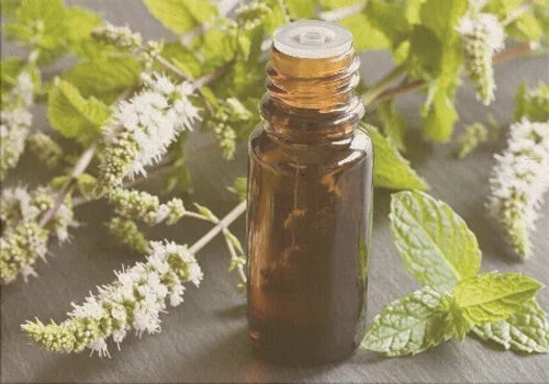 Essential oils | Huiles essentielles