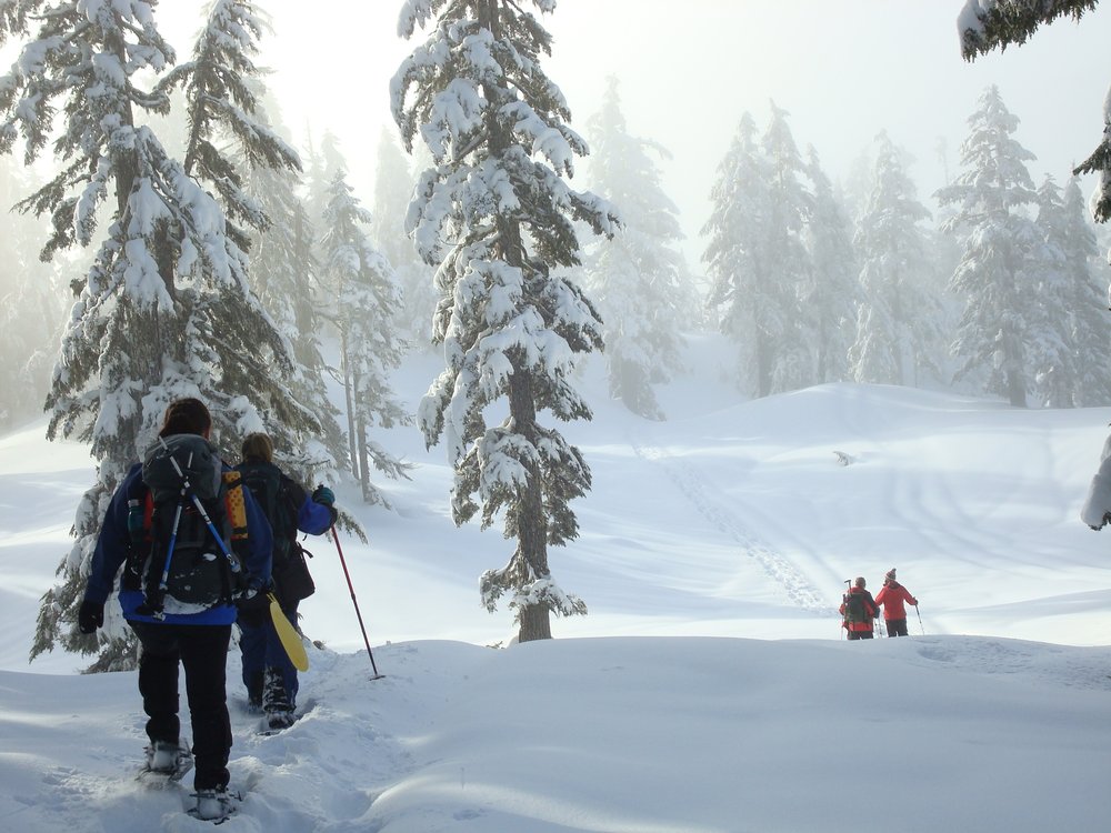 Snowshoeing in the Knuckleheads.jpg