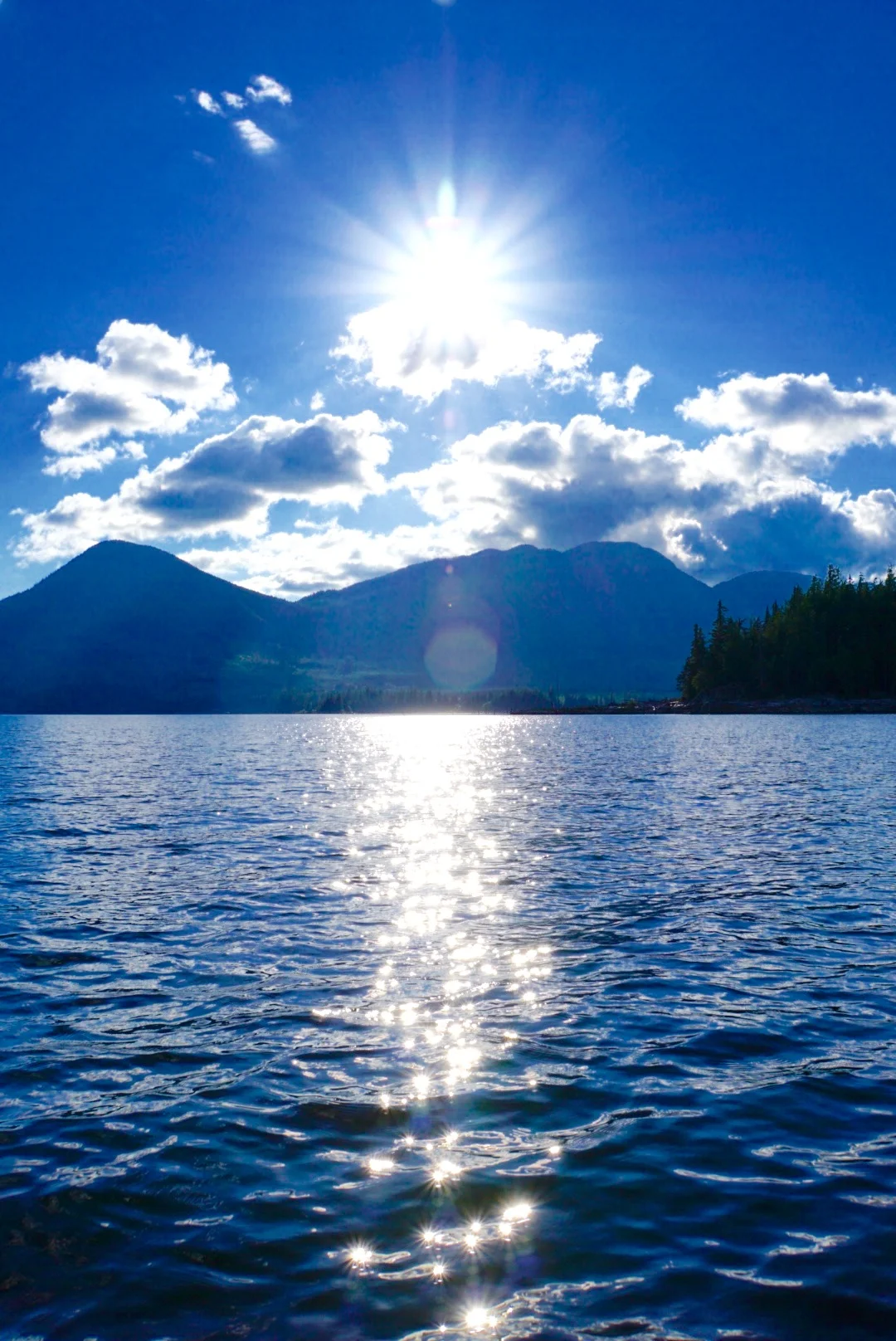 Mitchell's Canoe, Kayak & SUP, Sales and RentalsGallery of pictures in