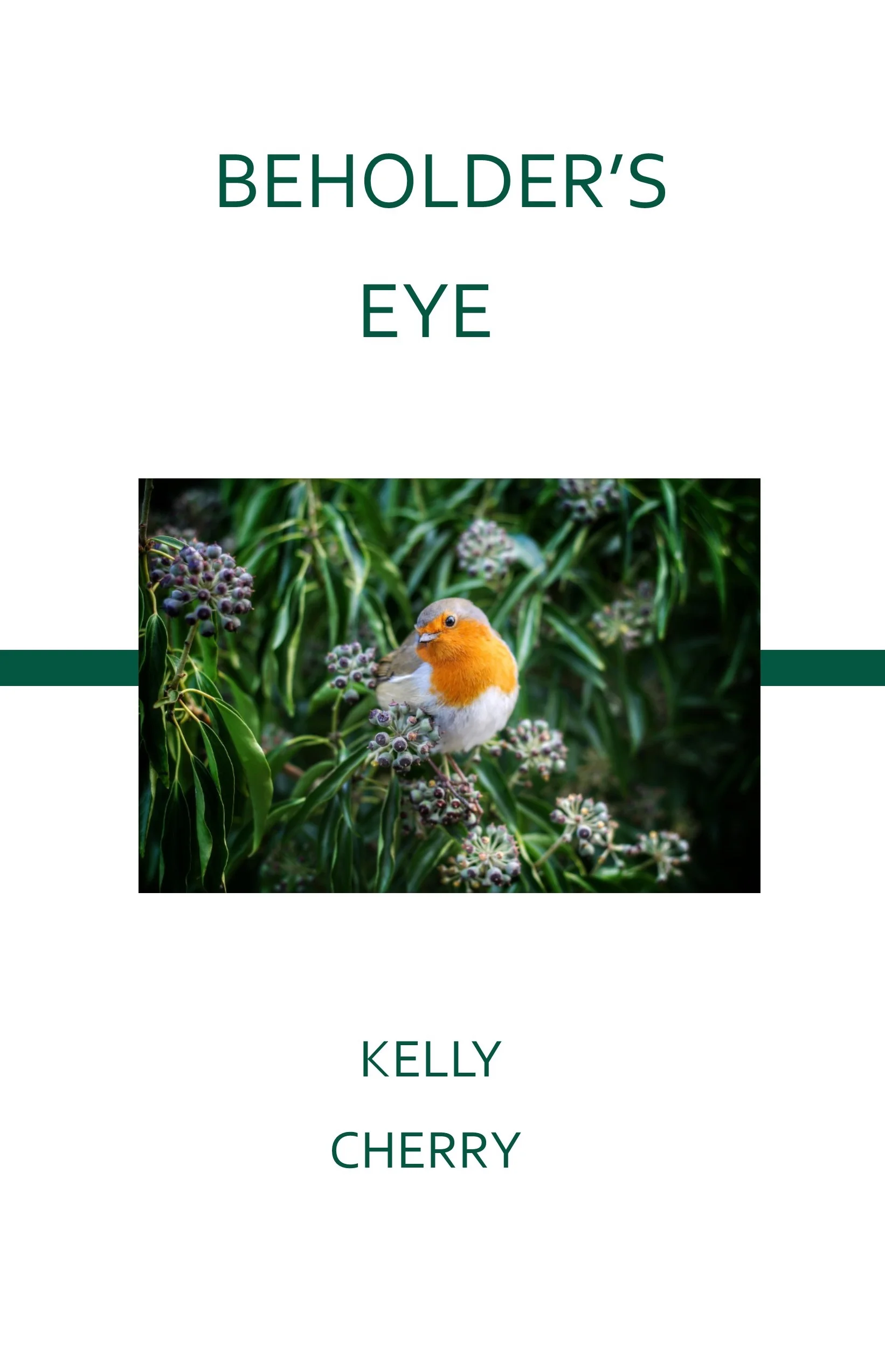 Beholder's Eye.jpg