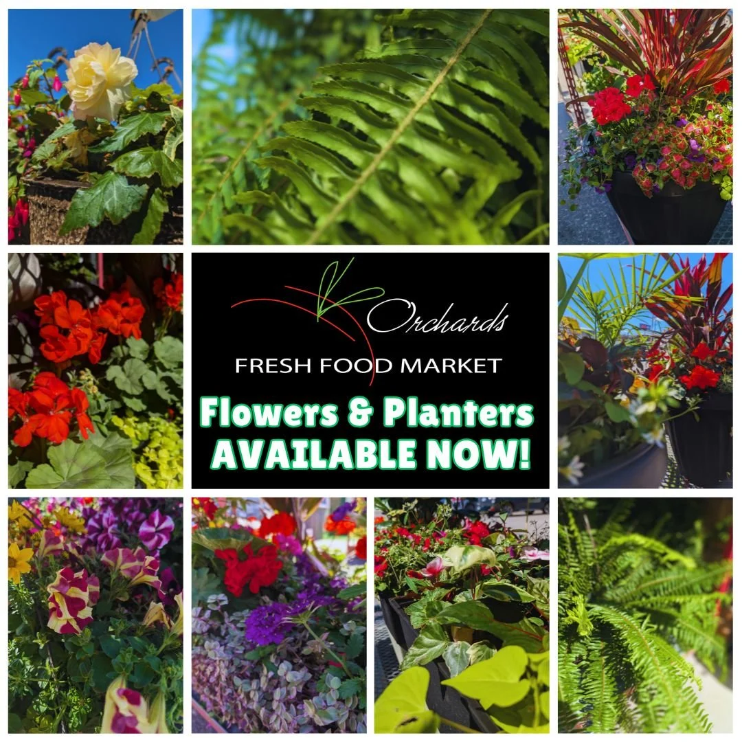 Flowers & Plants.jpg