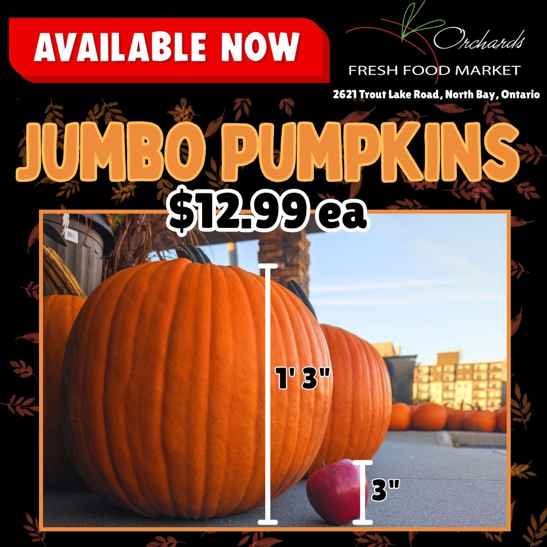 Large Pumpkins.jpg