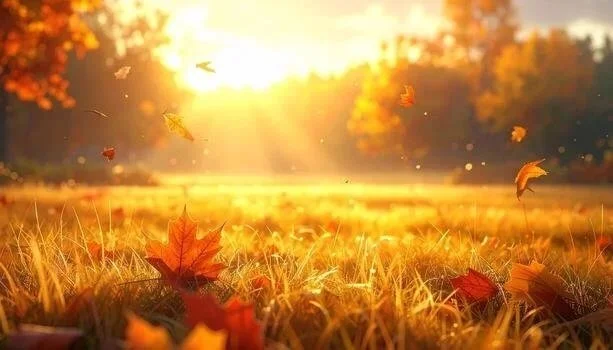 golden-autumnal-meadow-sunlit-leaves-falling-warm-serene-scene-photo.jpg