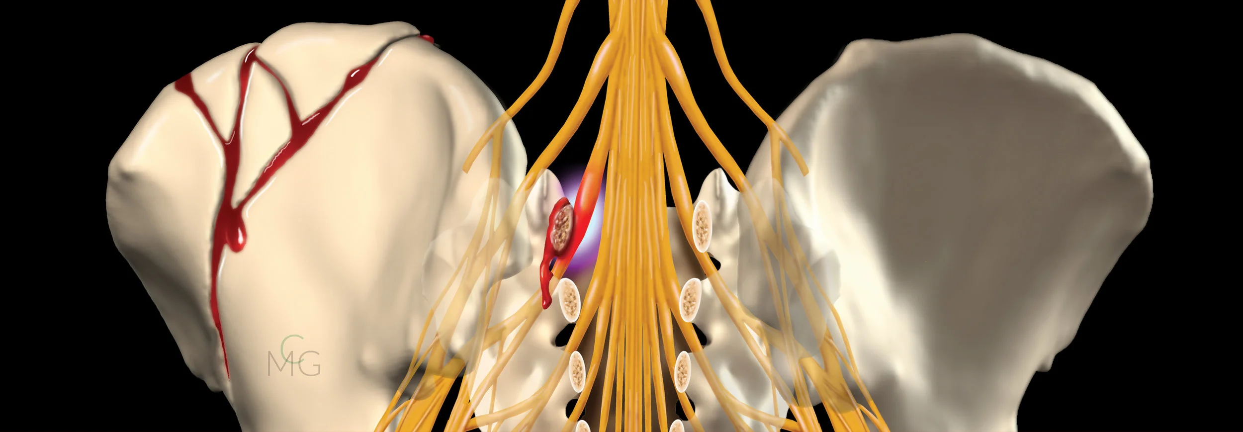 2019 MedLegal Banner.jpg