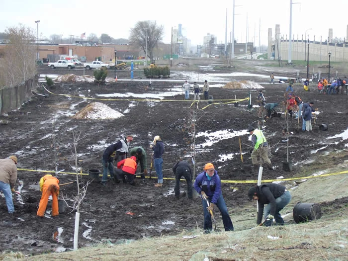 "Spring" planting in Minnesot a.