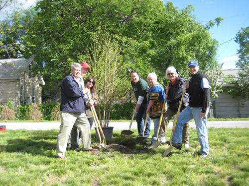The ceremonial first tree, planted by Jim Campbell, former CEO of Wells Fargo, Commissioner Peter McLaughlin, Commissioner Gail Dorfman, Council Member Robert Lilligren, Shirley Heyer of the Midtown Phillips Neighborhood Association , Carolyn Roby from Wells Fargo andNorm Champ from Tree Trust.
