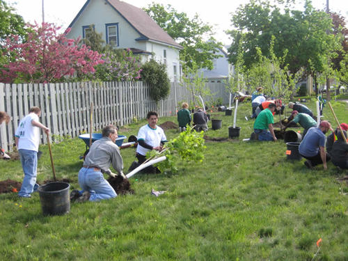 It takes a team: volunteers from Ryan Companies get a tree ready to plant.