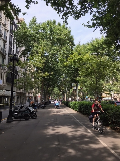 Shared street in Barcelona