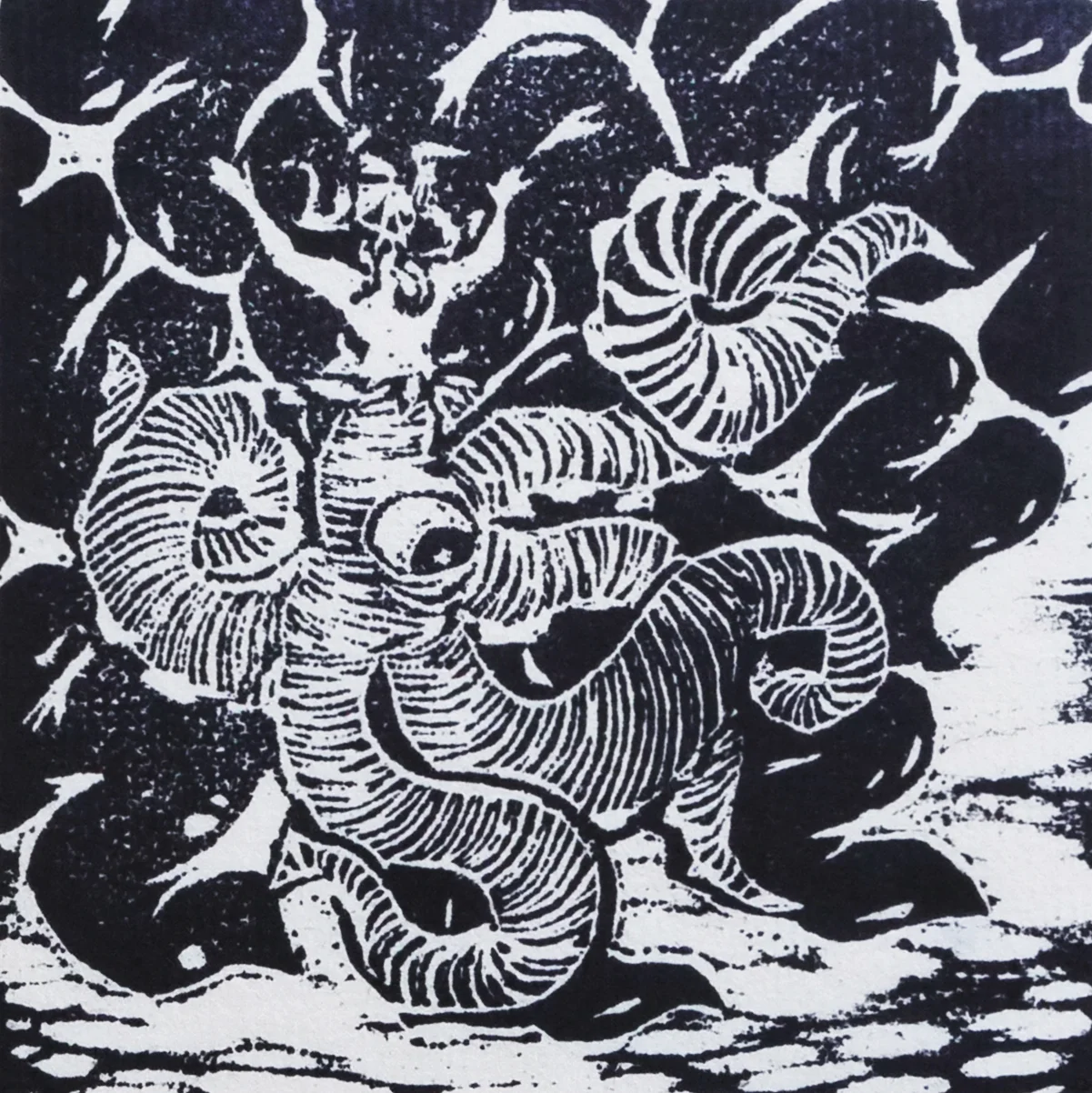 Invasion of the Squid-Eyes, 2014