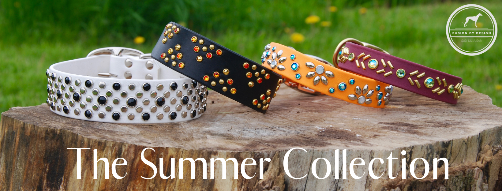 SummerCollectionGroup_FB.png