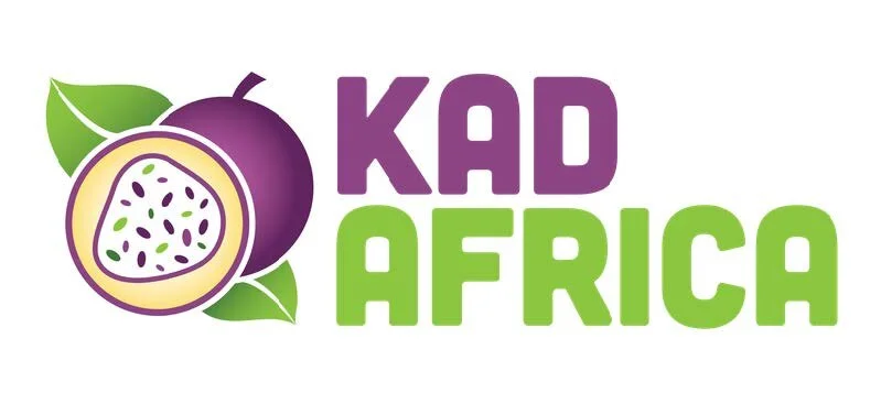 Innovation Brief_KadAfrica_FINAL_v3.jpg