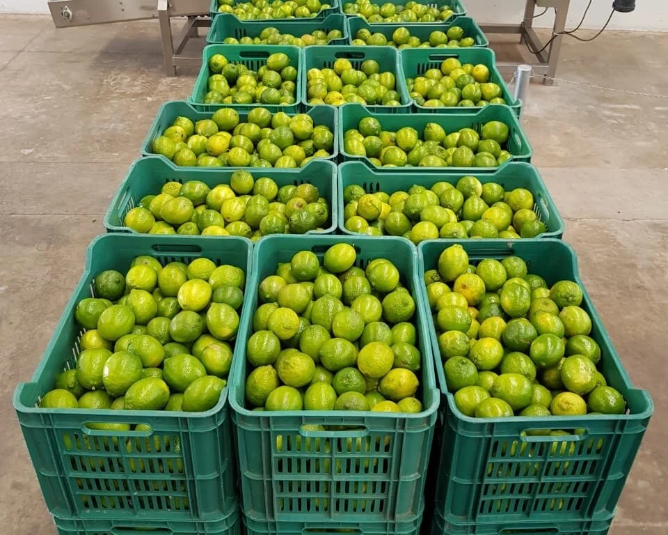 Addressing Food Insecurity