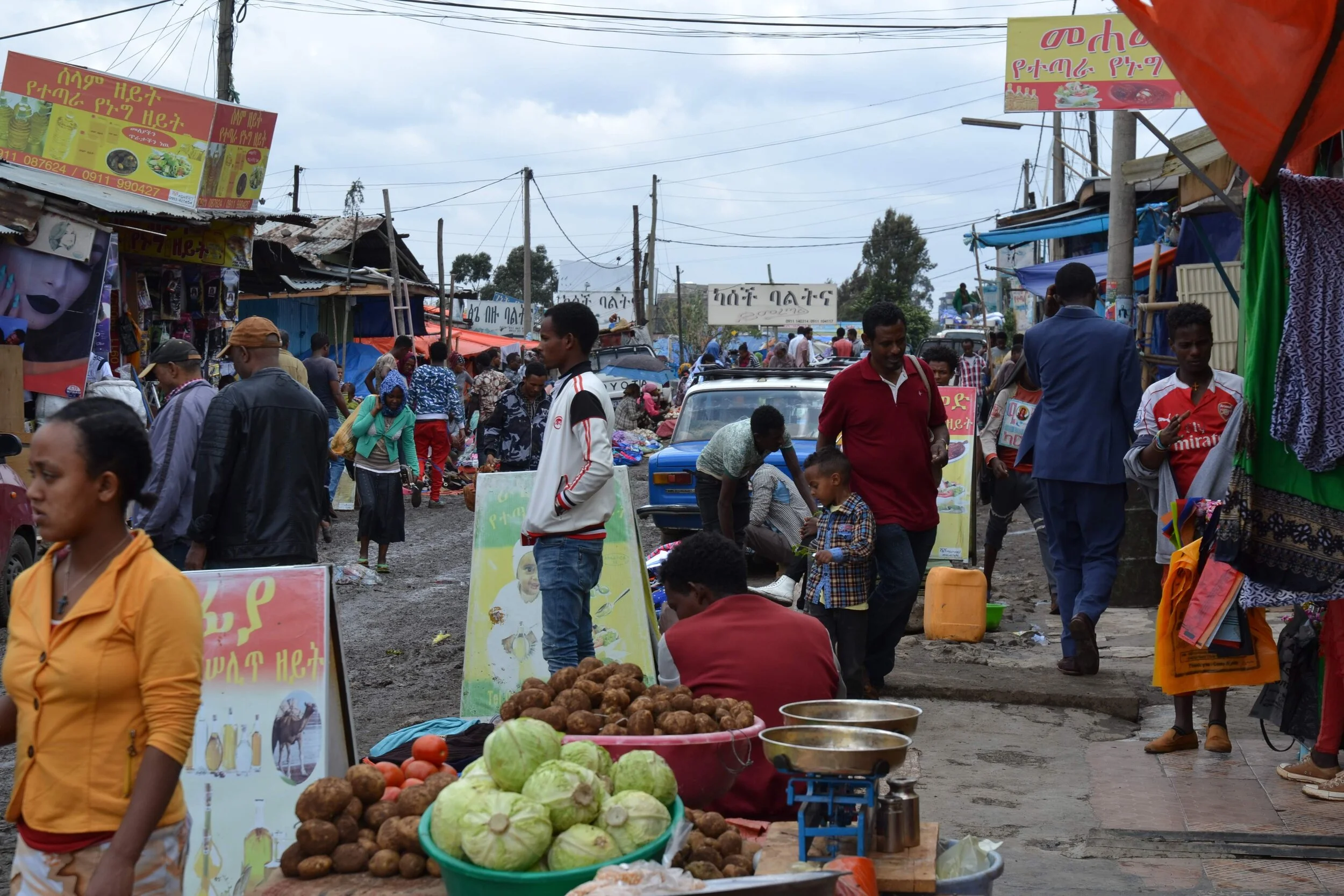 Ethiopia’s Productive Safety Net Programme