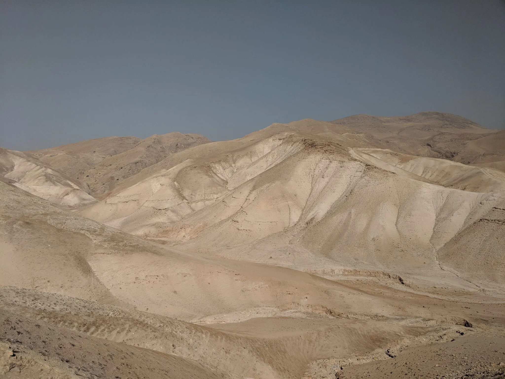 Cash Transfers in Palestine