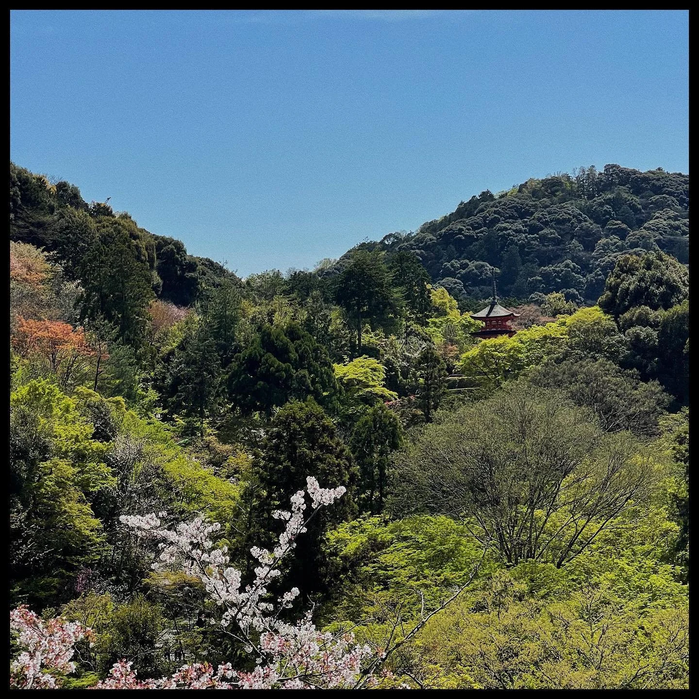 𓆝 𓆟 𓆞 𓆝 𓆟 feels like a dream &lrm;♡‧₊˚𓆝 𓆟 𓆞 𓆝 𓆟