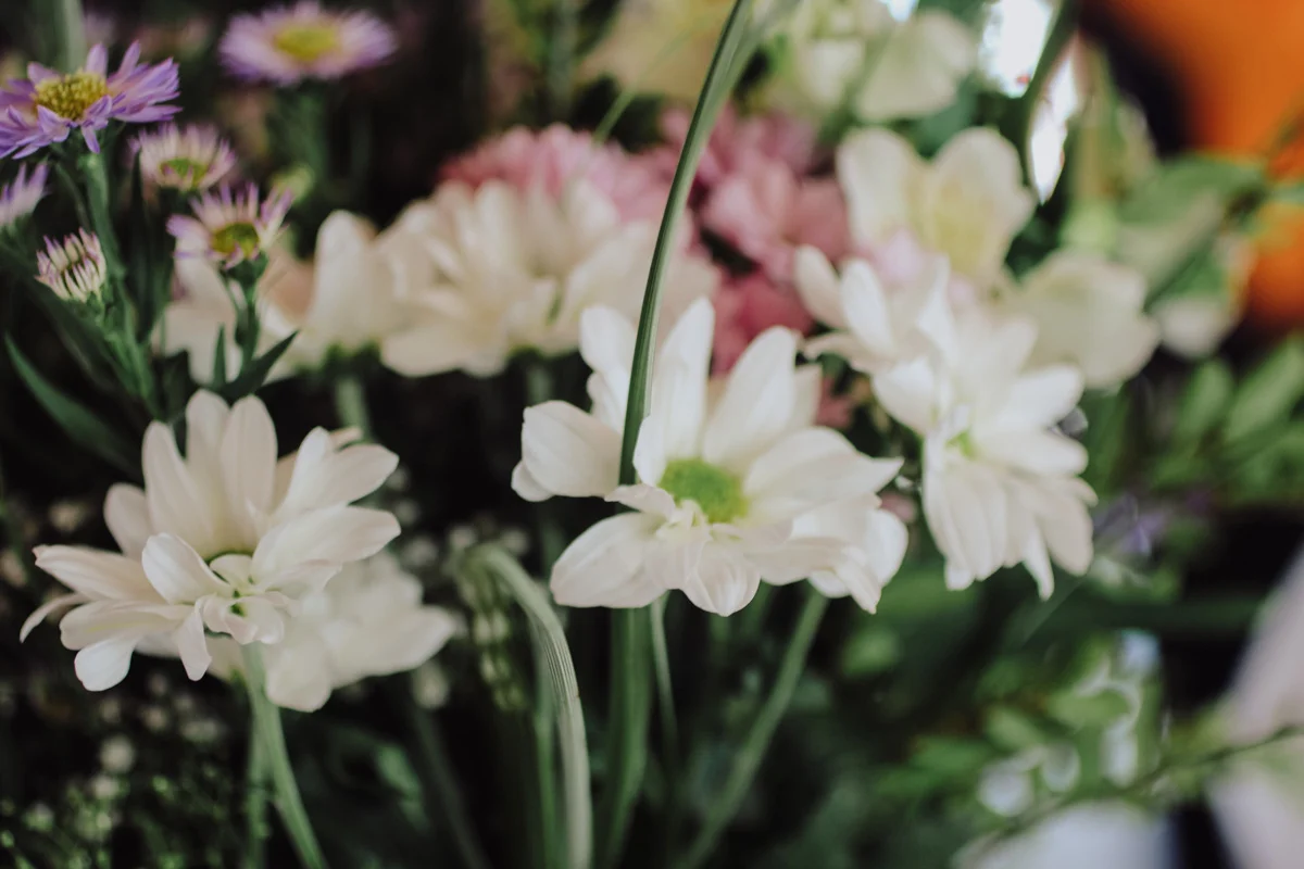 WilliamsSegalWedding-2820.jpg