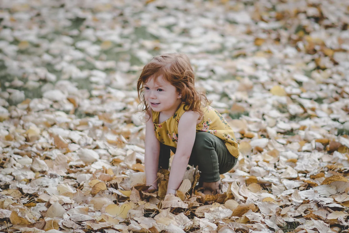 Autumn2017-48.jpg