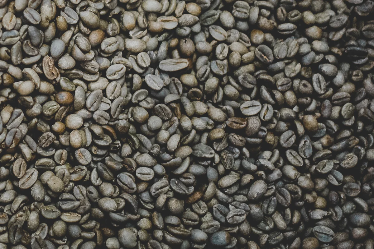 Roastery.ShareRes-10.jpg