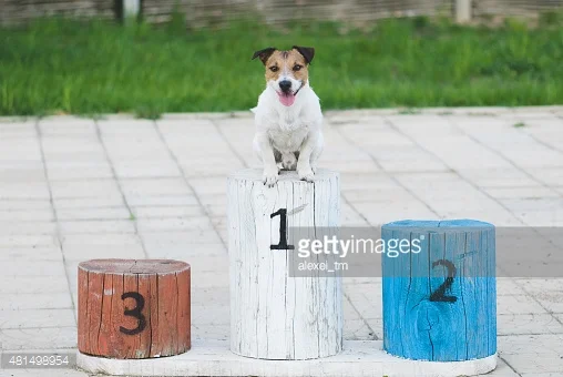 Finding Your Competitive Advantage