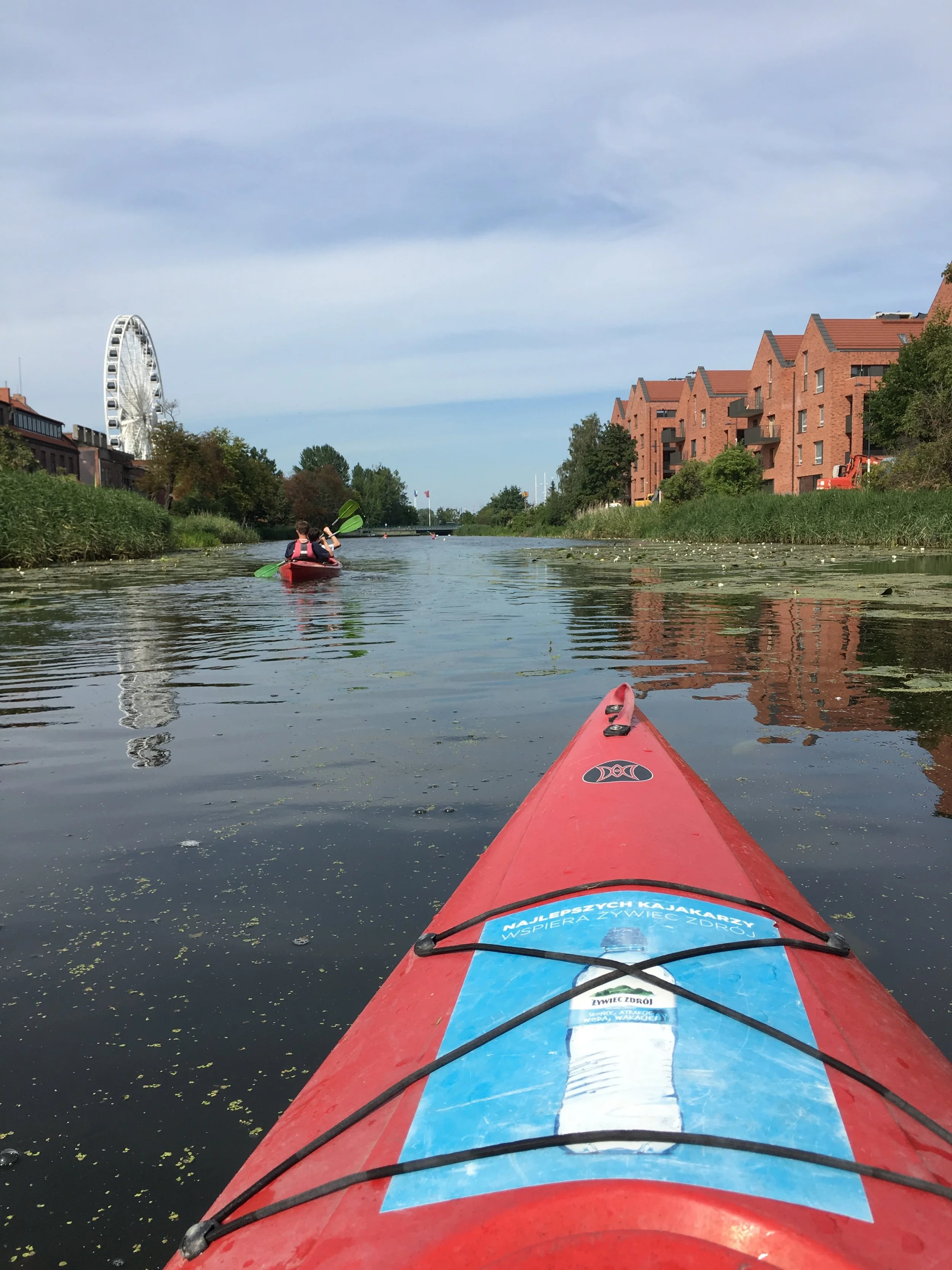 Things I have enjoyed since I thought I was falling apart