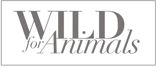 Wild Animals Header v2 copy.jpg