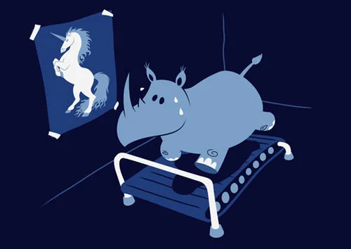 funny_rhino_unicorn_treadmill_large-s500x354-217084.jpg