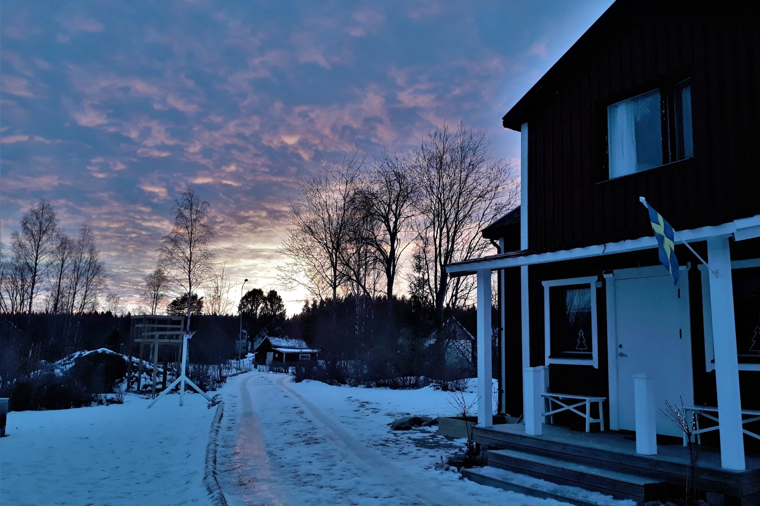 winter sunset .jpg