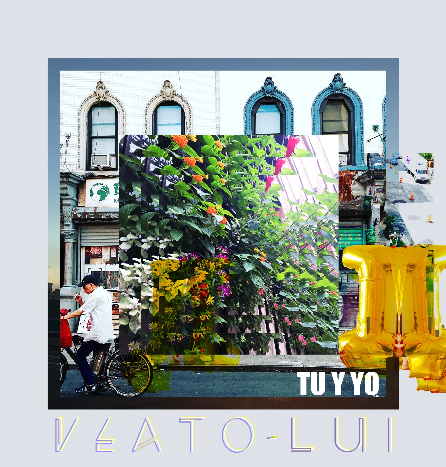 VEATO LUIno need.jpg