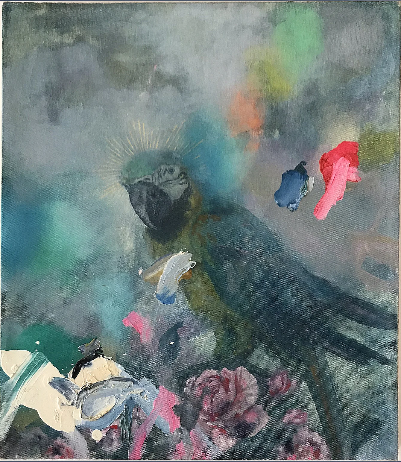 Lone Macaw