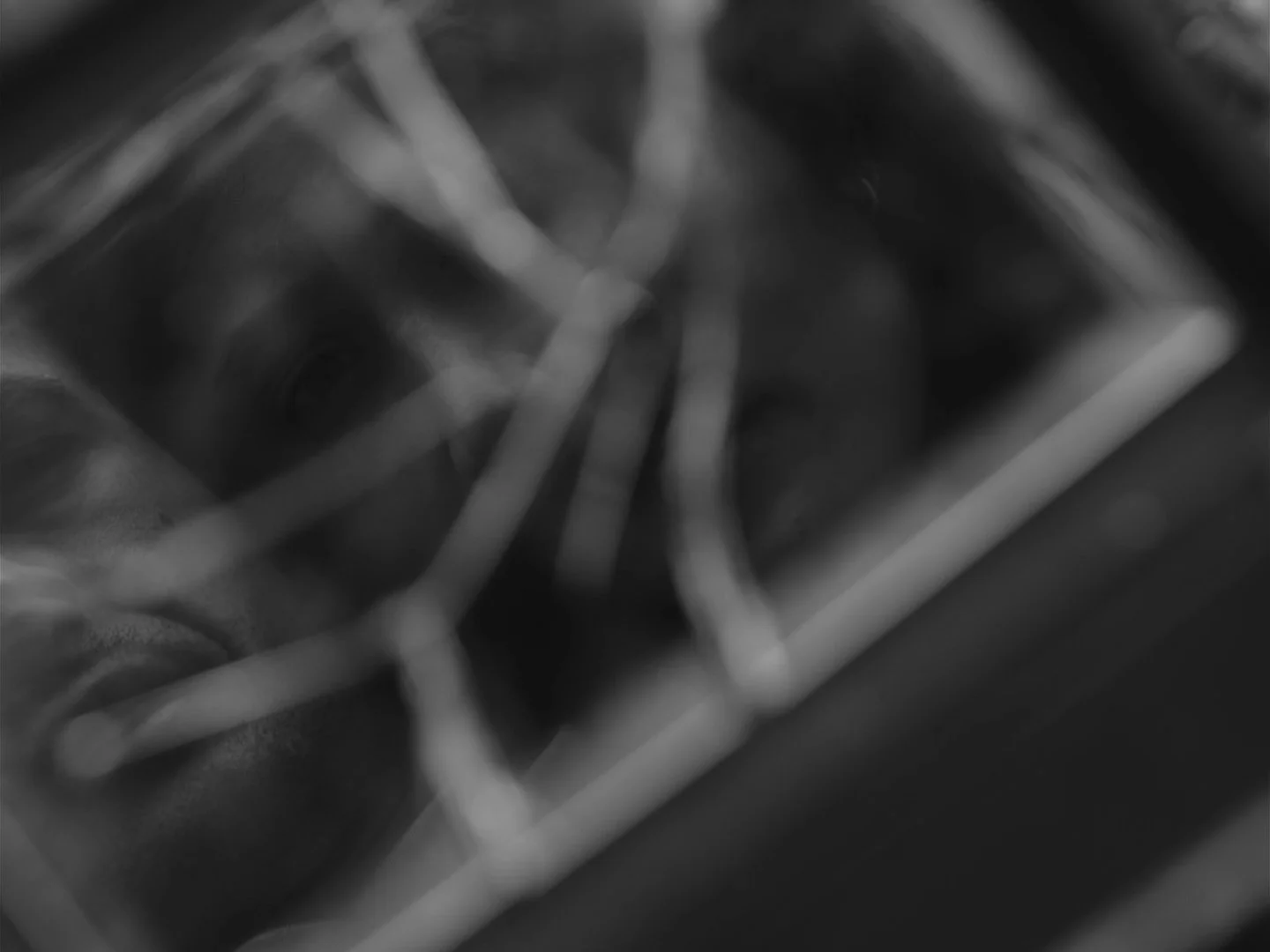 TTF_3_1.44.1.jpg