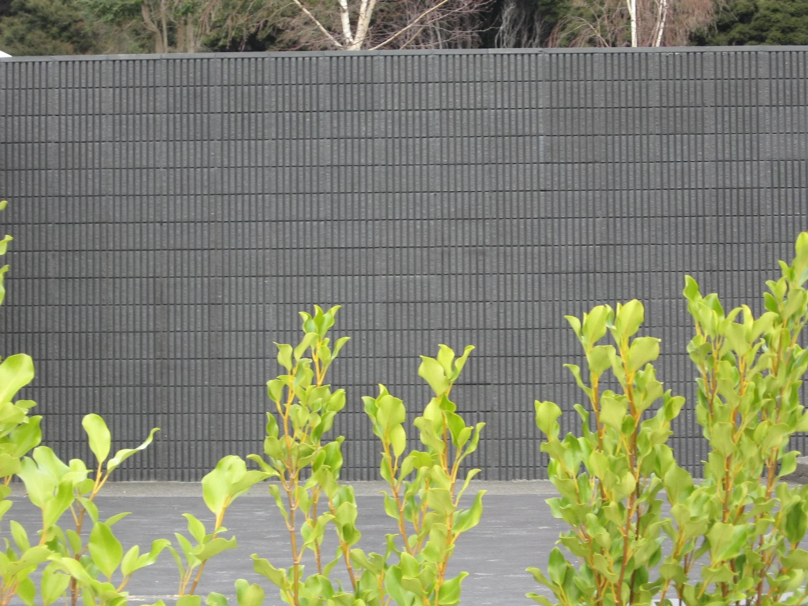 20 Series Fluted Kohl