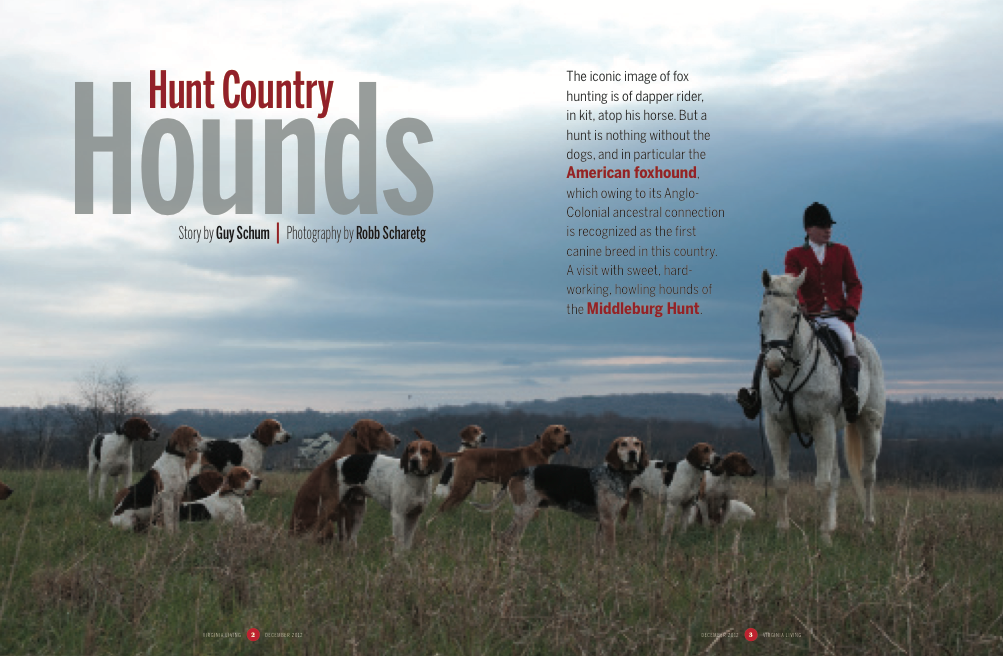 hounds1.png