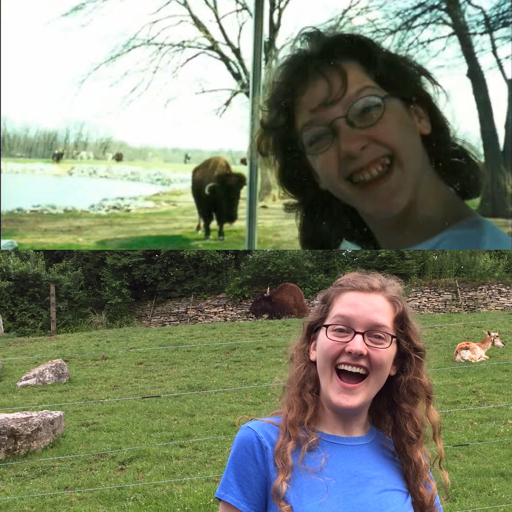Top panel: I had recently turned twelve, and was terribly excited to see a buffalo. Bottom panel: I had recently turned twenty-seven, still terribly excited to see a buffalo, this time with many years of orthodontia under my belt. Photo credit: My sister, who took both of these photos. fifteen years apart.