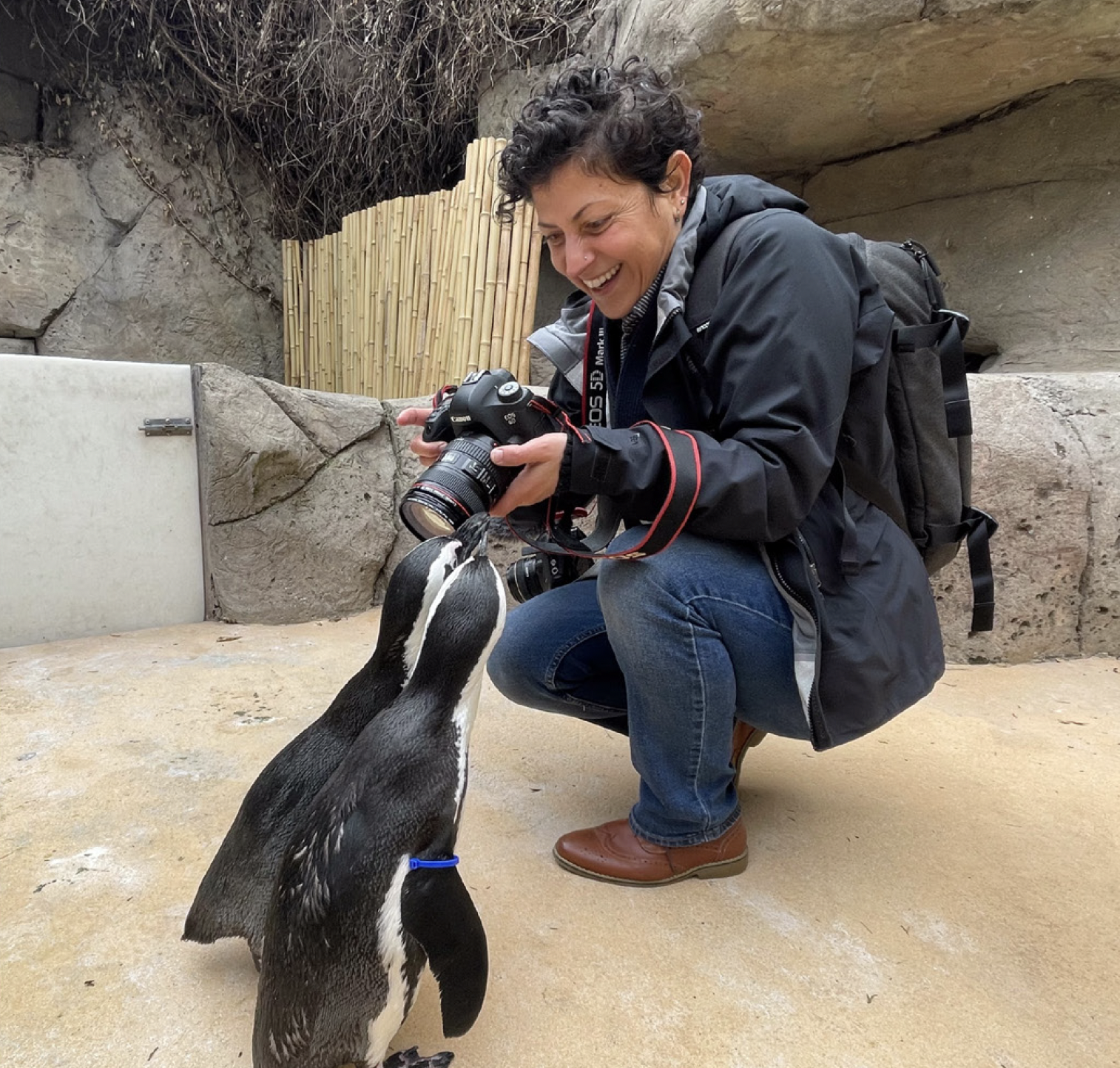 Screenshot 2026-04-27 at 11.44.30 PM.png