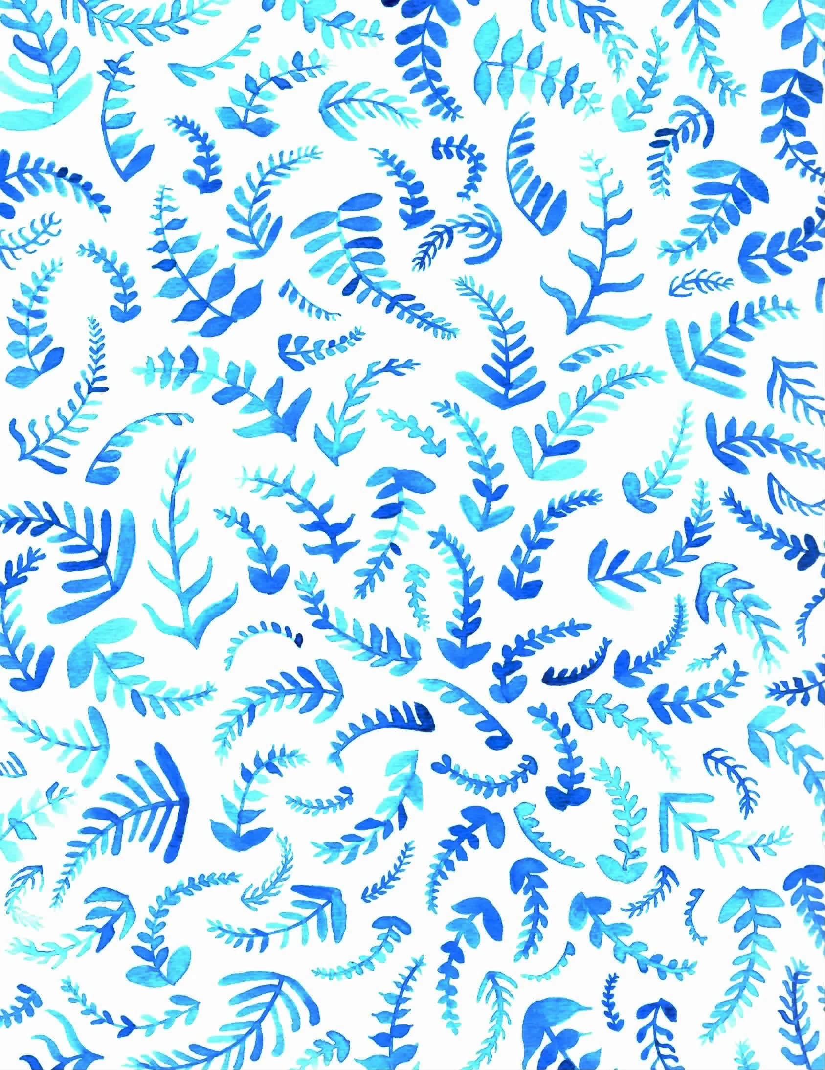 Blue Ferns