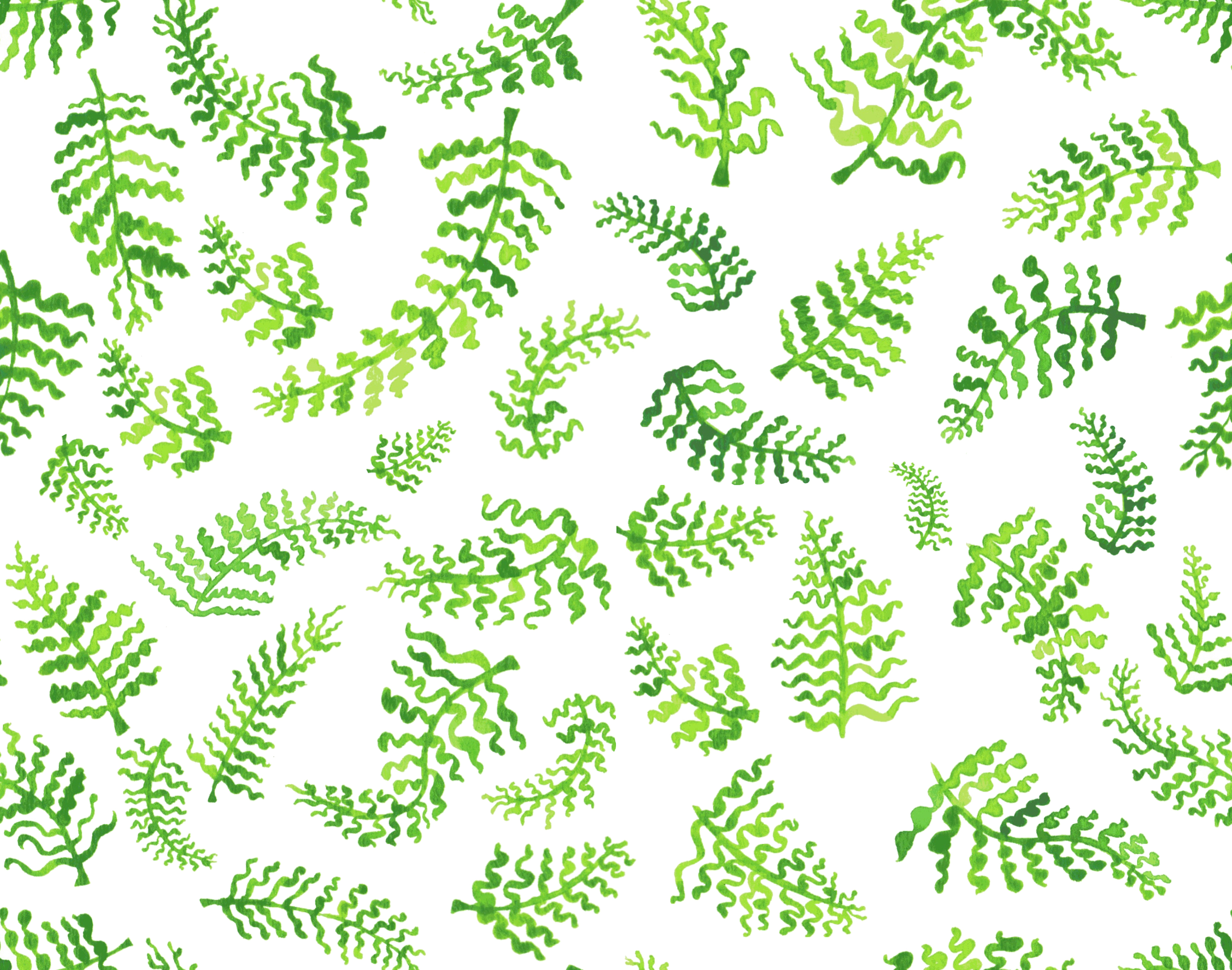 Green Ferns (perfect repeat) .jpeg