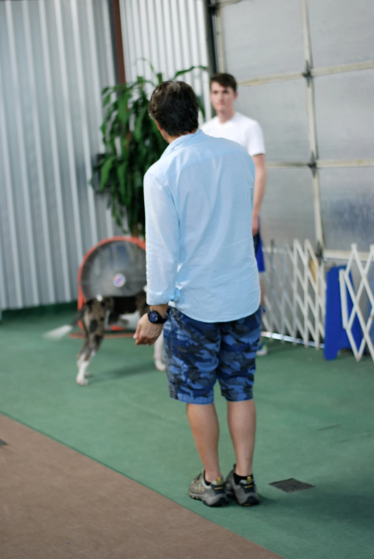 DSC_0056.jpg