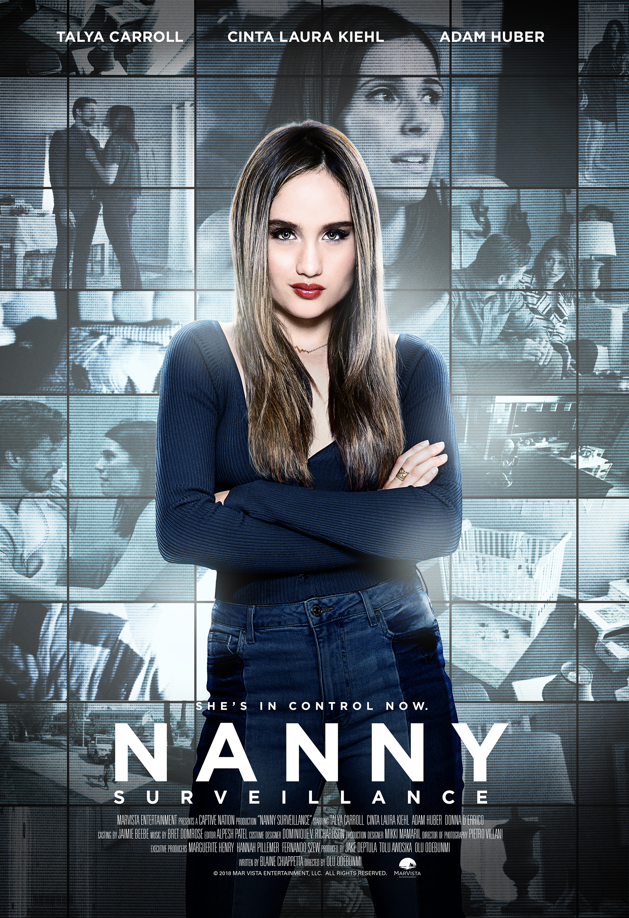 nanny survelence poster.jpg