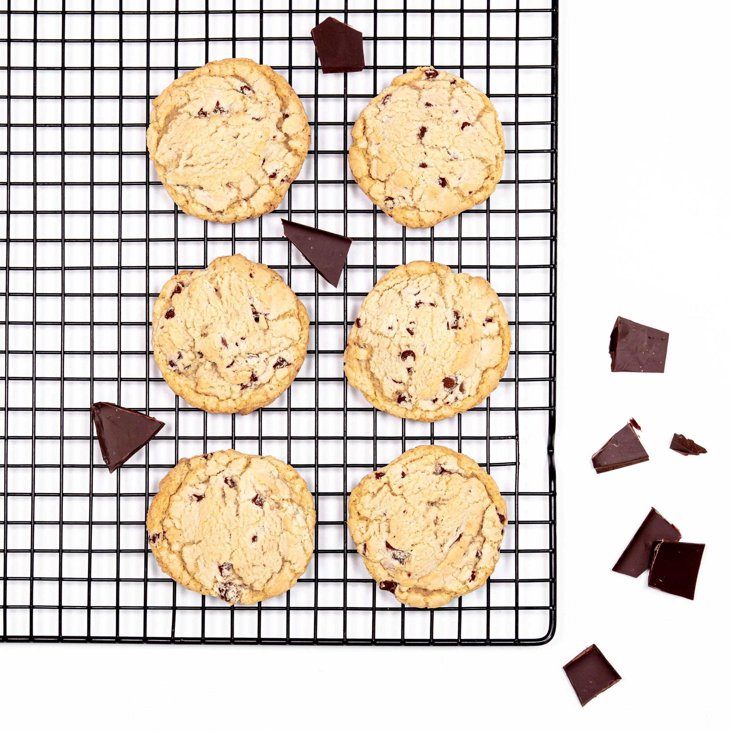 Choco on rack.jpg