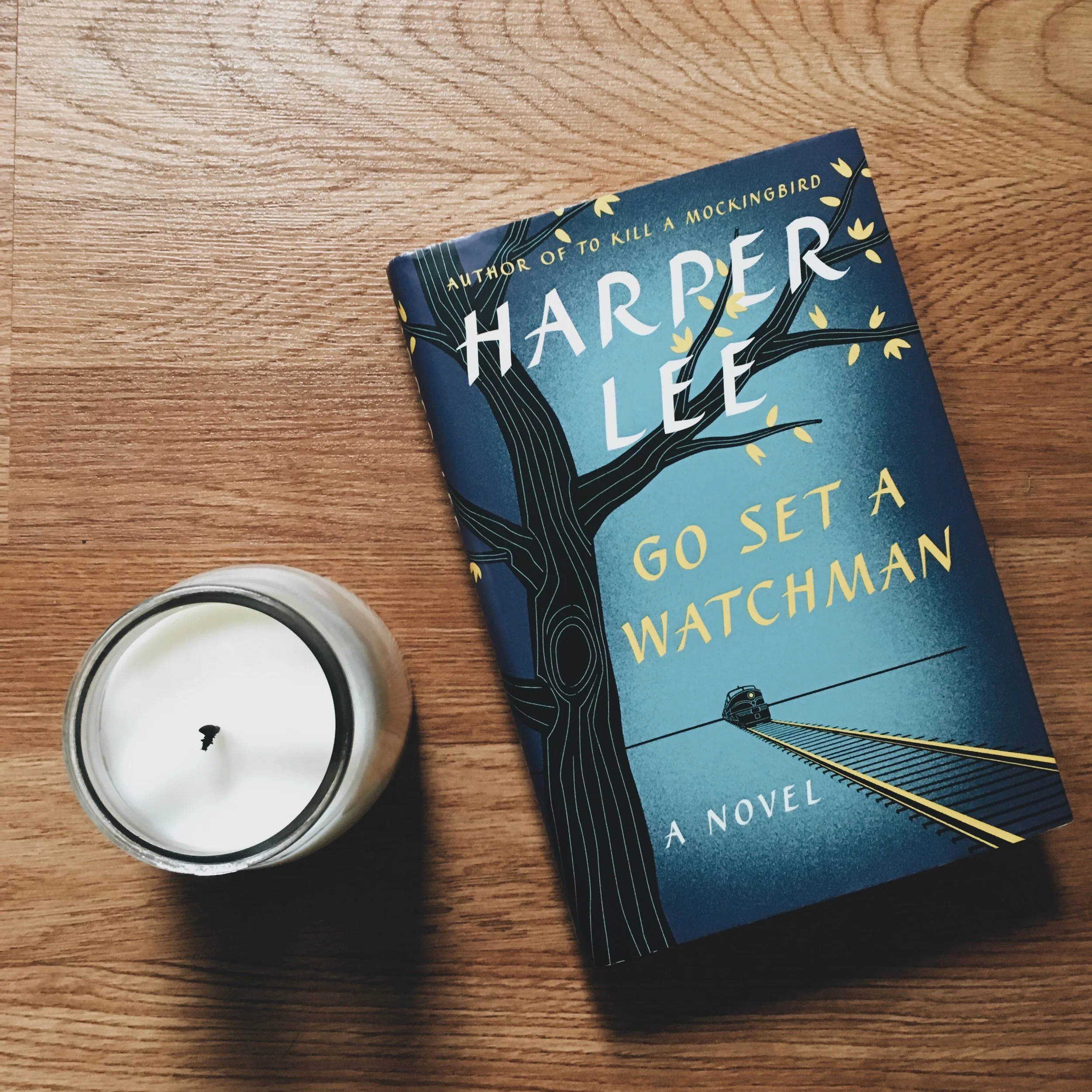 #42 Go Set a Watchman.jpg
